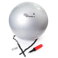 66fit Gym Ball with pump & DVD - Silver - 65cm