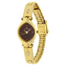 Titan Burgundy Dial Analog Watch for Women - 2417YM05