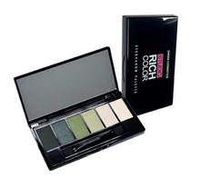 DMGM RICH COLOR EYE SHADOW IN SMOKY EYE GREEN / BEIGE PALETTE