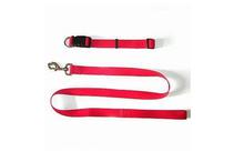 Nylon Adjustable Dog Collar with Leash (DB-8)