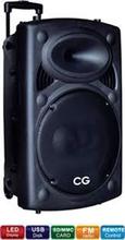 CG 12'' Trolly Speaker - CG-TS12A01