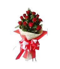 Valentine Cute Love with Red Rose