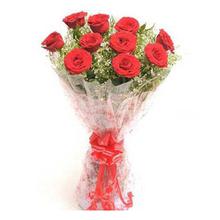 10 Red Roses With Cellophane Paper Packing Bouquet