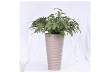 Philodenron Xanadu Self Watering plant Pot (35 x 62 cm)