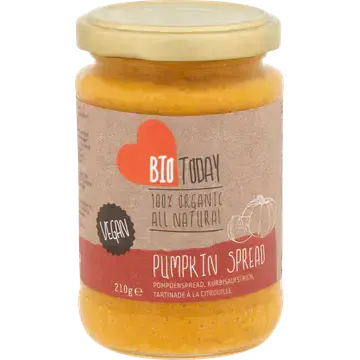 Bio Today Pompoenspread 210 g