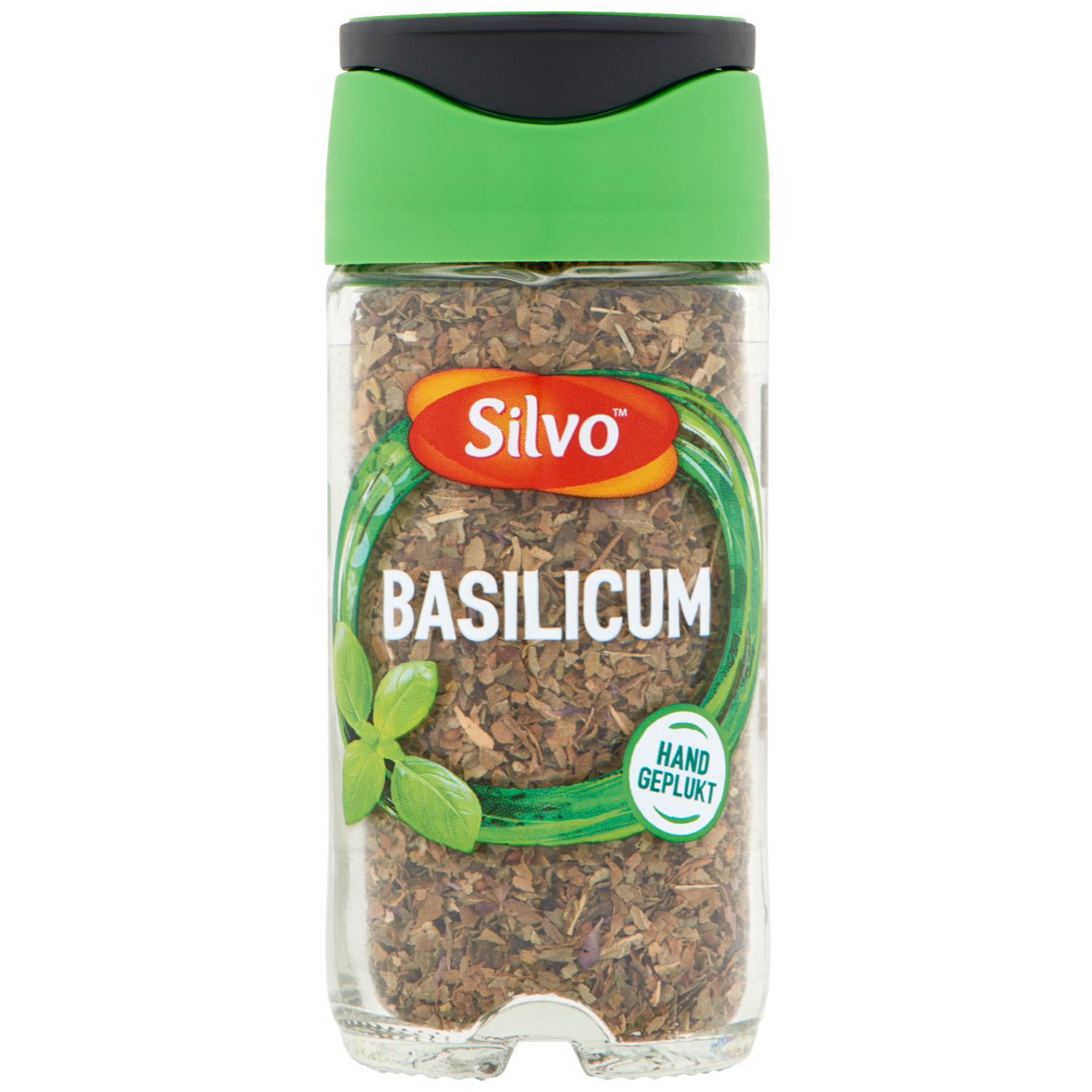 Silvo Basilicum