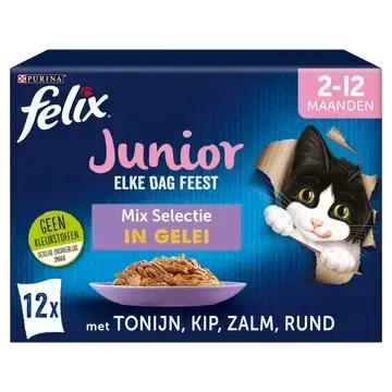 Felix every day feast junior
