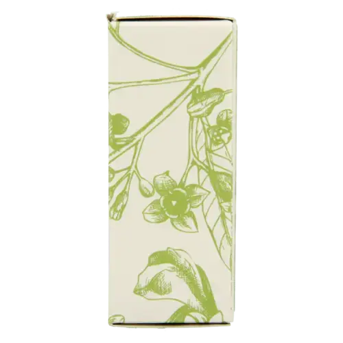 Afbeelding 4 van Volatile Terpentijn bio 5 milliliter