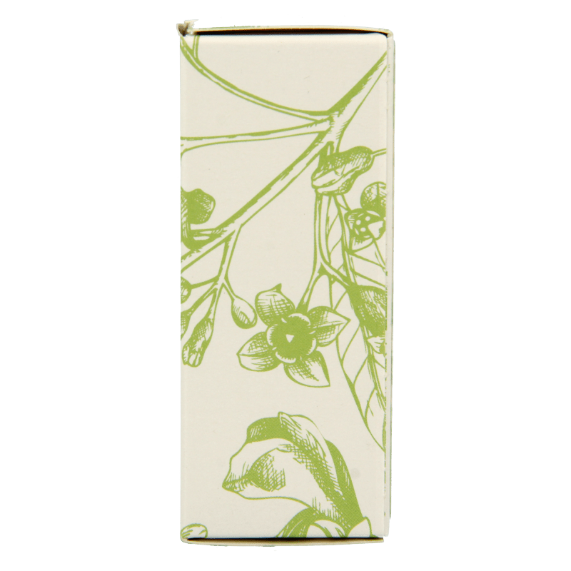 Afbeelding 4 van Volatile Terpentijn bio 5 milliliter