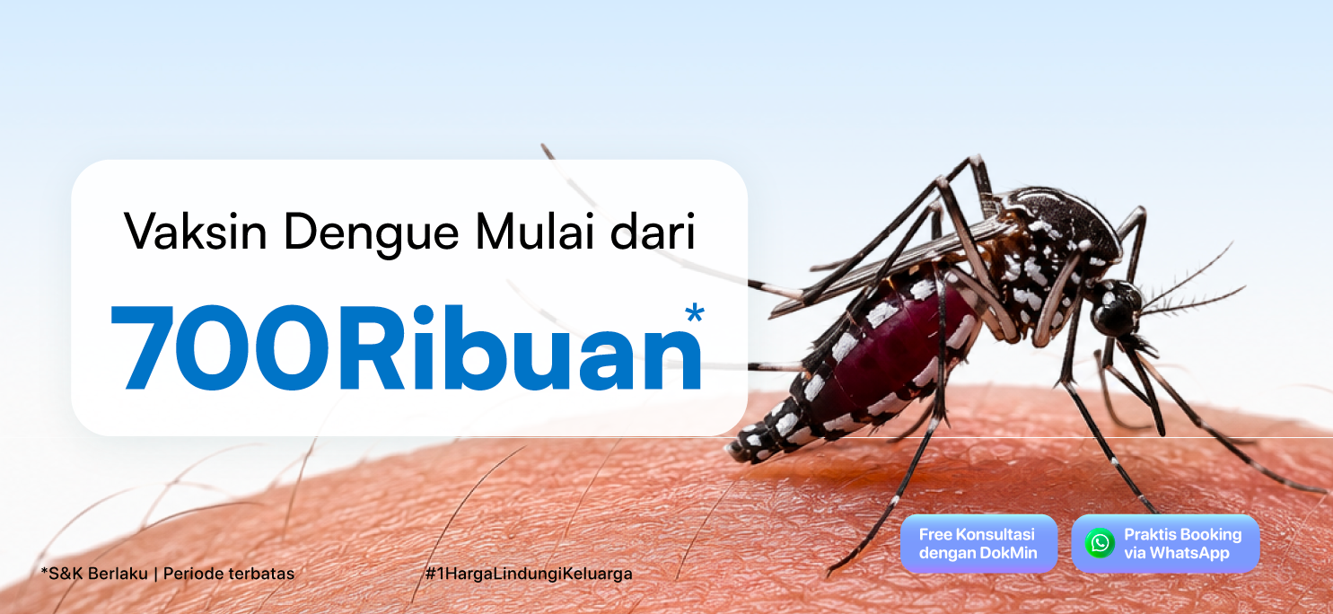 Vaskin Dengue
