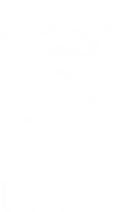 A hexagonal shape made up of white lines forming a 3-D cube in the middle, with spokes extending out to the hexagon. The word "Bribe" is underneath in white capitals