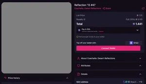 A Coachella NFT on the Magic Eden platform titled "Reflection '15 #47". The image for the NFT is a large grey square, because the image can't be loaded.