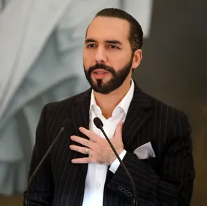 Tweet from Nayib Bukele: "Most people go in when the price is up, but the safest and most profitable moment to buy is when the price is down. It’s not rocket science (Man shrugging emoji) So invest a piece of your McDonald’s paycheck in Bitcoin. Now go back to flip more burgers you lazy fvçk!"