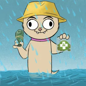An illustrated beige cat, with eyes pointed in opposite directions, wearing a yellow rain hat on a rainy day. It's holding a roll of $100 bills in one hand and a baggie of marijuana in the other