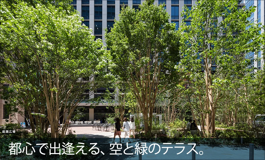 テラススクエア