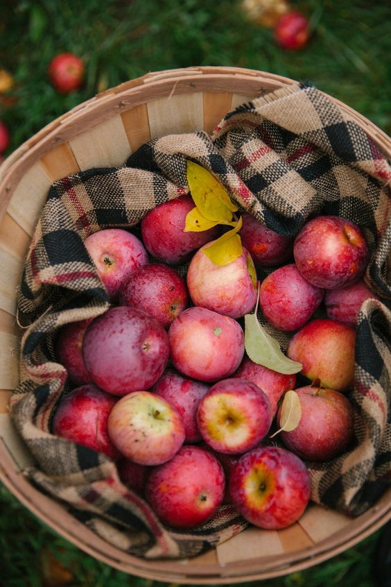 What are the benefits of Apples for your health?