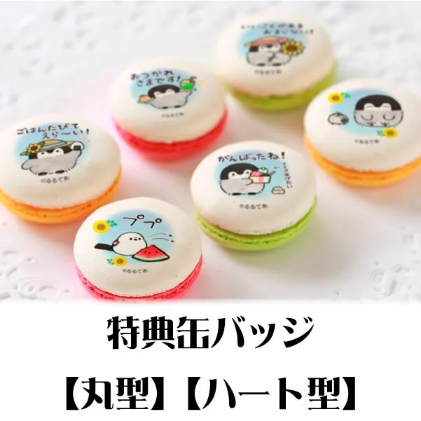 プリマカロン6個セット（ひまわりデザイン）【特典缶バッジ付き】[コウペンちゃん]
