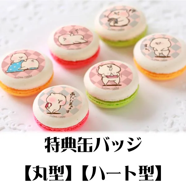 プリマカロン6個セット（グッド柄）【特典缶バッジ付き】[ともだちはくま]