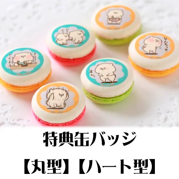 プリマカロン6個セット（デュクシ柄）【特典缶バッジ付き】[ともだちはくま]