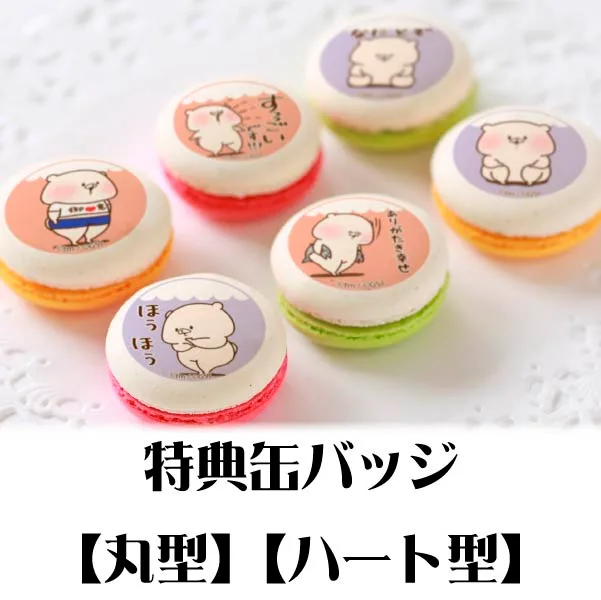 プリマカロン6個セット（ほめる柄）【特典缶バッジ付き】[ともだちはくま]