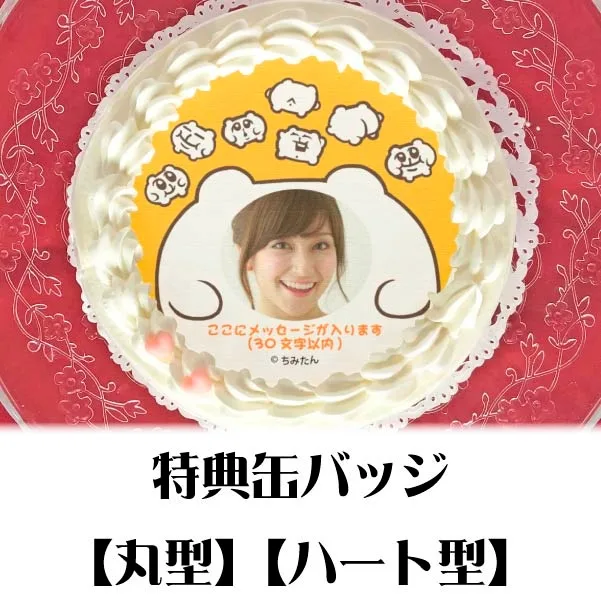 【写真メッセージ入り】プリケーキ（ちみたんA）【特典缶バッジ付き】[ちみたん]