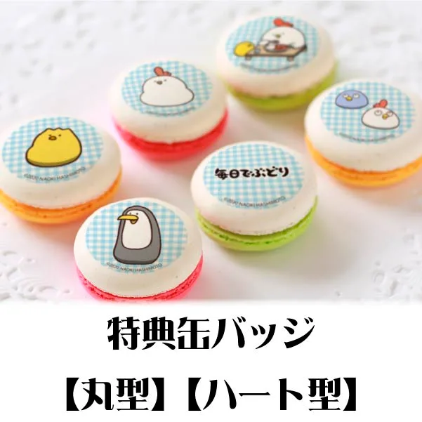 プリマカロン6個セット（C）【特典缶バッジ付き】[毎日でぶどり]