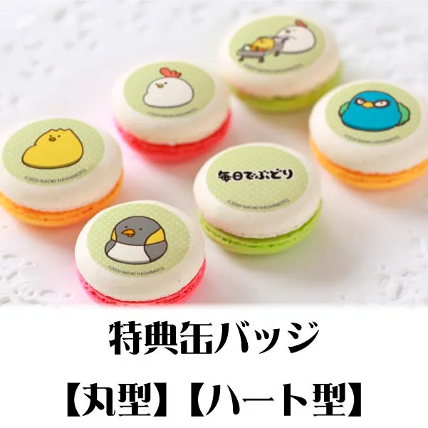 プリマカロン6個セット（B）【特典缶バッジ付き】[毎日でぶどり]
