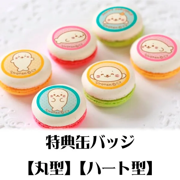 バースデープリマカロン6個セット2020（しろたん）【特典缶バッジ付き】[しろたん]
