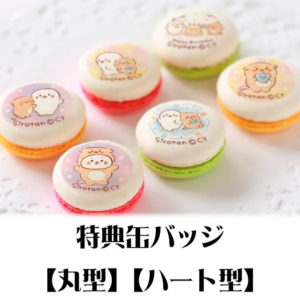 バースデープリマカロン6個セット2020（しろたん&らっこいぬ）【特典缶バッジ付き】[しろたん]