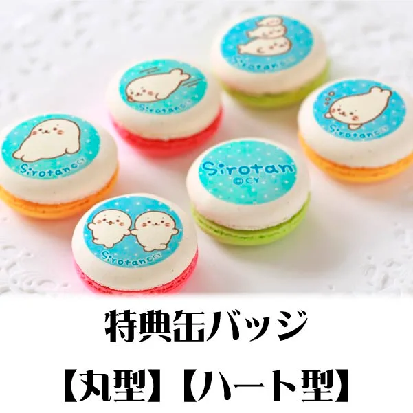 プリマカロン6個セット（かさなるしろたん）【特典缶バッジ付き】[しろたん]