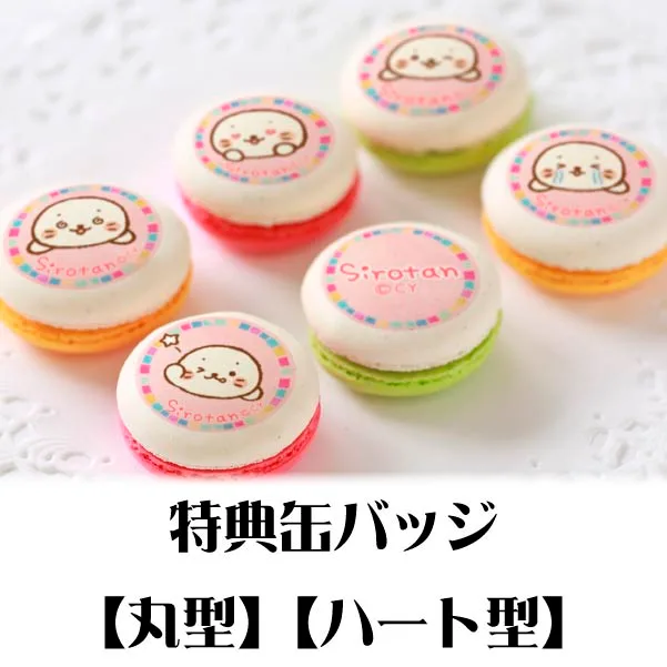 プリマカロン6個セット（しろたんいっぱい）【特典缶バッジ付き】[しろたん]