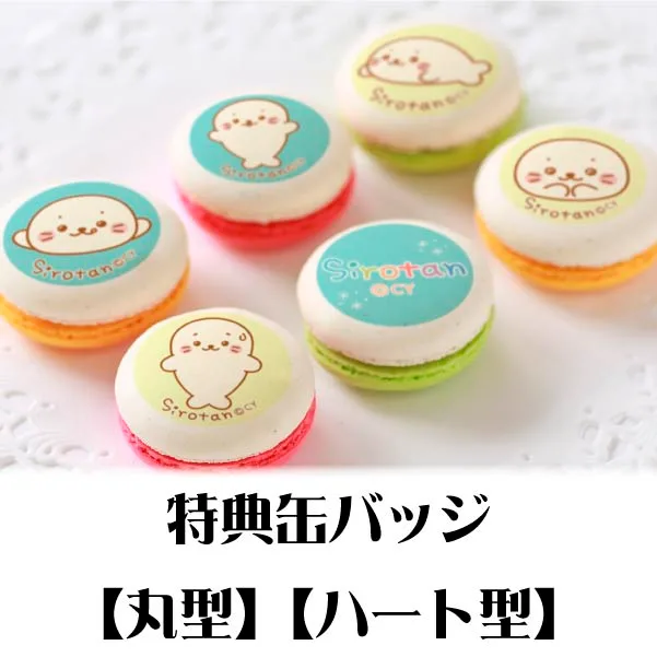プリマカロン6個セット（ノーマルしろたん）【特典缶バッジ付き】[しろたん]