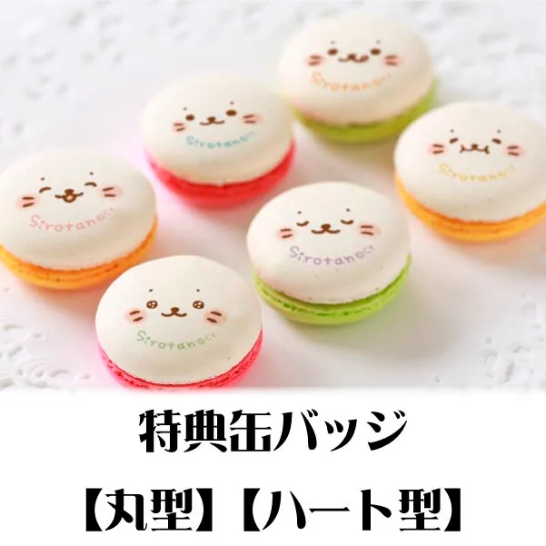 プリマカロン6個セット（しろたんフェイス）【特典缶バッジ付き】[しろたん]