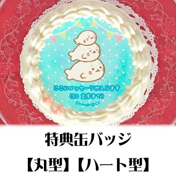 【メッセージ入り】プリケーキ（かさなるしろたん）【特典缶バッジ付き】[しろたん]