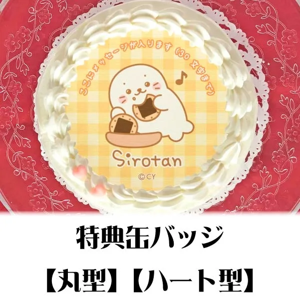 【メッセージ入り】プリケーキ（おせんべいしろたん）【特典缶バッジ付き】[しろたん]