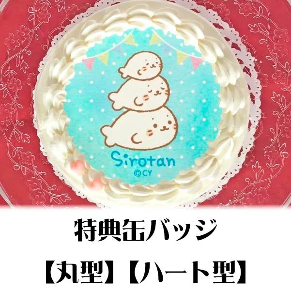 プリケーキ（かさなるしろたん）【特典缶バッジ付き】[しろたん]