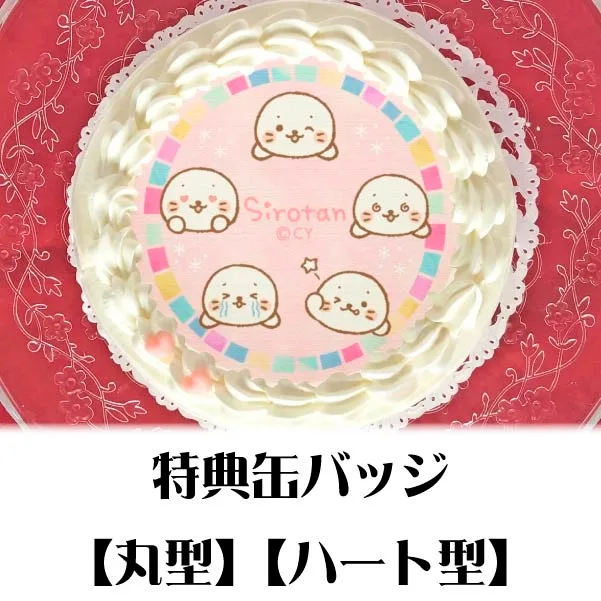 プリケーキ（しろたんいっぱい）【特典缶バッジ付き】[しろたん]