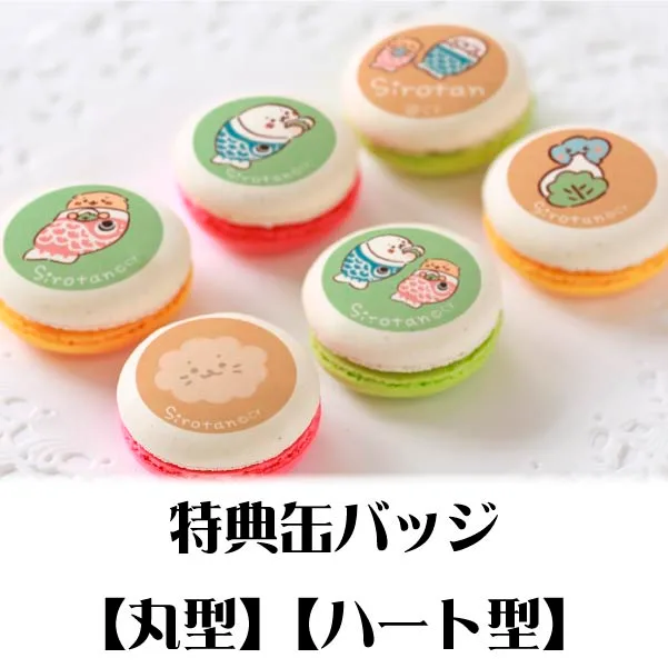 プリマカロン6個セット（こいのぼり）【特典缶バッジ付き】[しろたん]