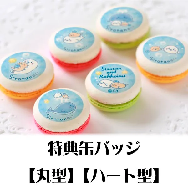 プリマカロン6個セット（星くじら(B)）【特典缶バッジ付き】[しろたん]