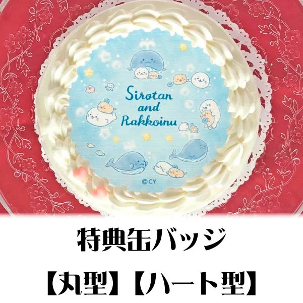 プリケーキ（星くじら(B)）【特典缶バッジ付き】[しろたん]