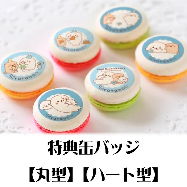 プリマカロン6個セット（みんなでおたんじょうび会《B》）【特典缶バッジ付き】[しろたん]