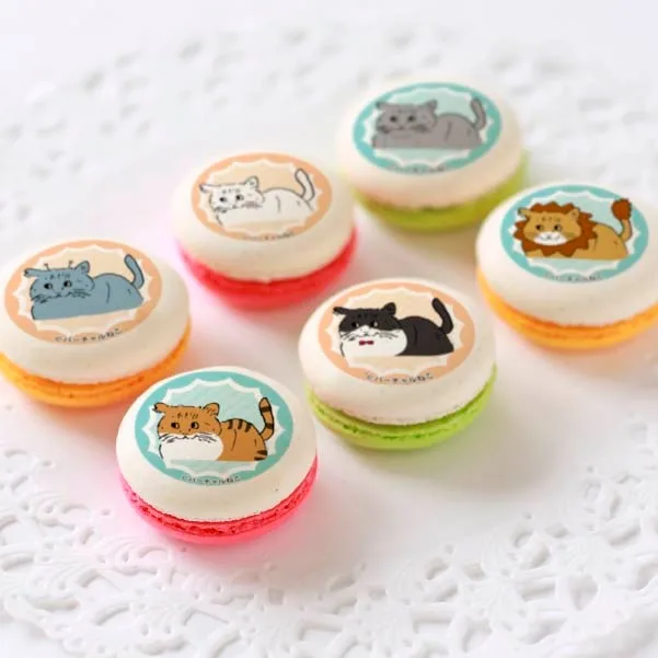 プリマカロン6個セット【特典缶バッジ付き】[バーチャルねこ]