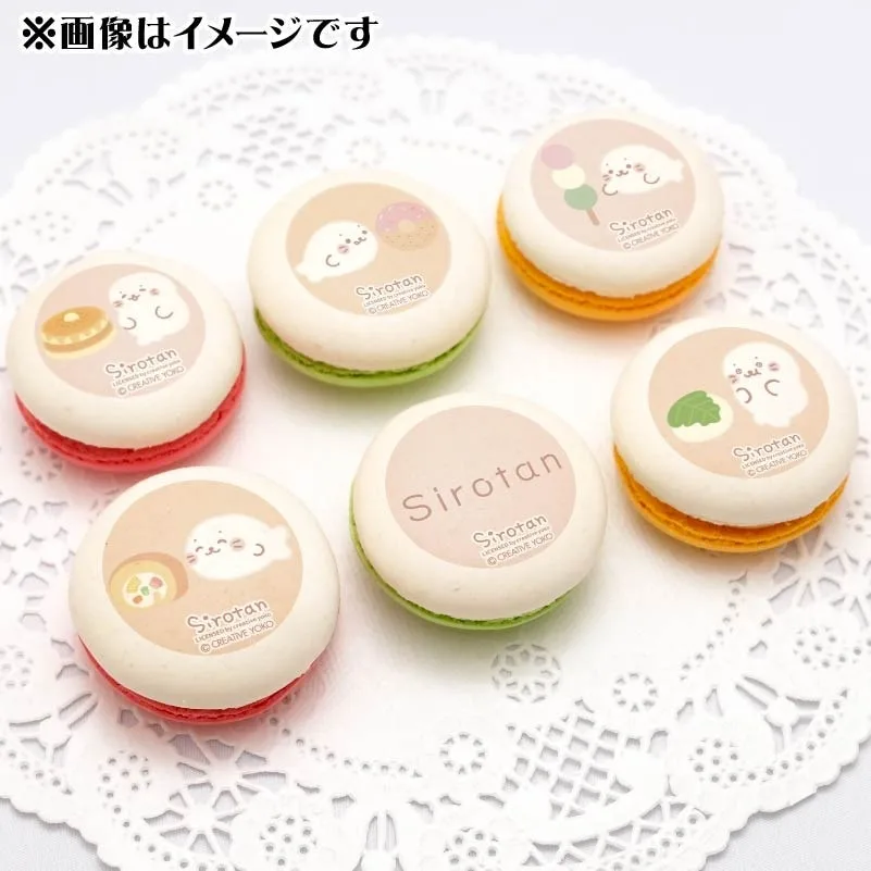 プリマカロン6個セット（好きなもの）【特典缶バッジ付き】[しろたん]
