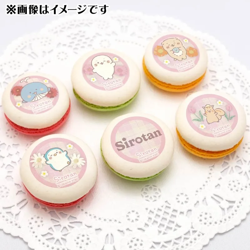プリマカロン6個セット（フラワーガーデン）【特典缶バッジ付き】[しろたん]