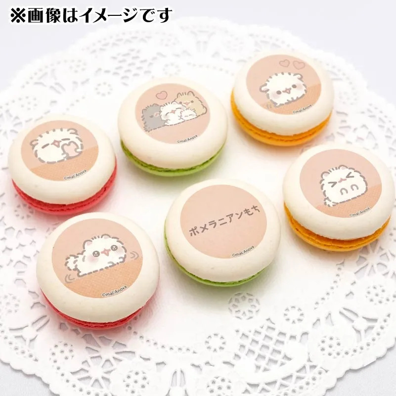 プリマカロン6個セット【特典缶バッジ付き】[ポメラニアンもち]