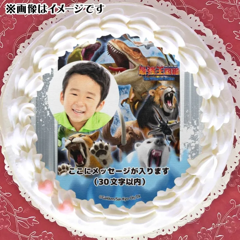 【写真メッセージ入り】プリケーキ（集合）【特典缶バッジ付き】[最強王図鑑]
