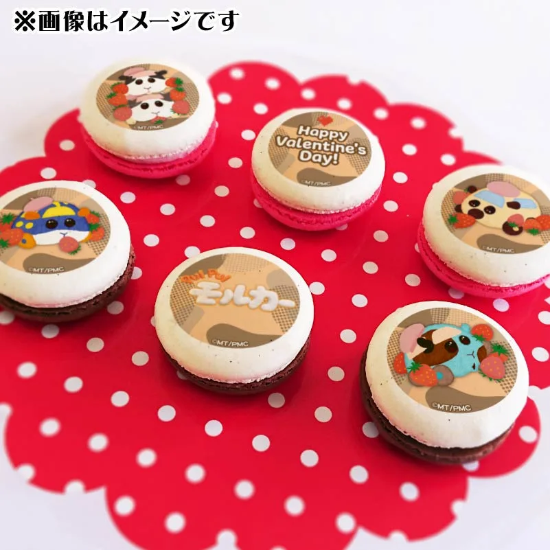 バレンタインプリマカロン6個セット2025（テンテン＆トントン＆ポンタ＆ウミウシ＆チョコミント）【特典缶バッジ付き】[PUI PUI モルカー]
