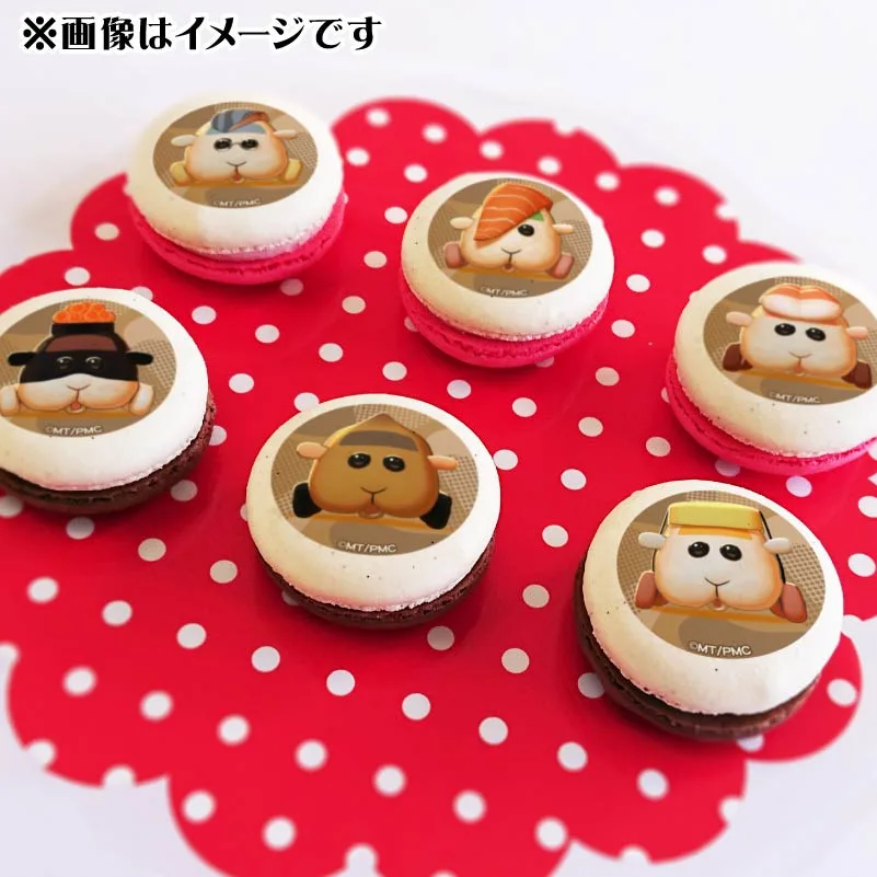 バレンタインプリマカロン6個セット2025（集合B）【特典缶バッジ付き】[PUI PUI モルカー]