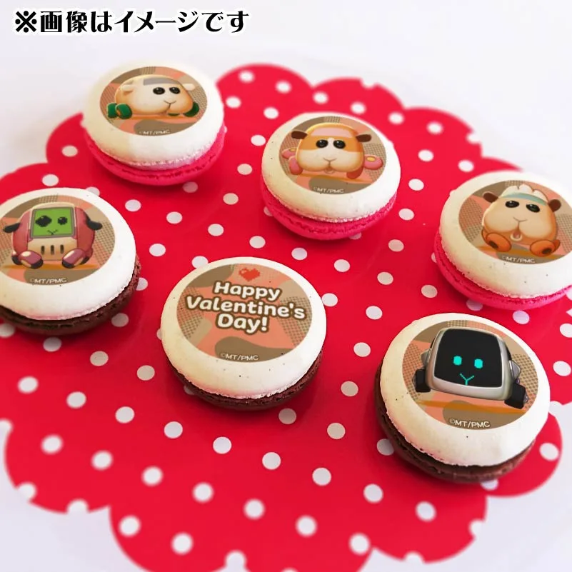 バレンタインプリマカロン6個セット2025（集合A）【特典缶バッジ付き】[PUI PUI モルカー]