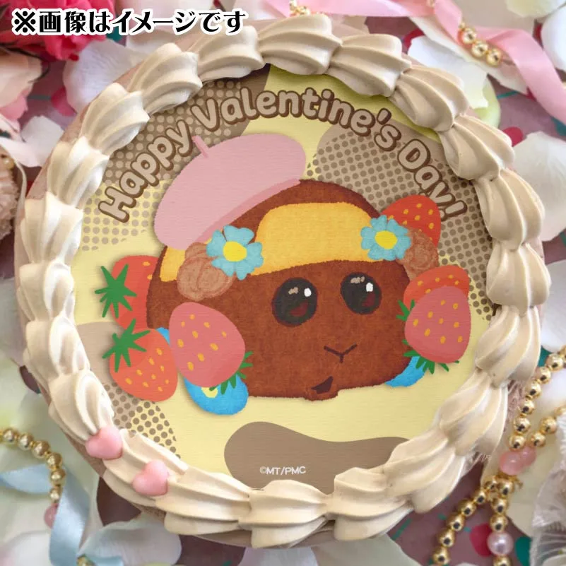 バレンタインプリケーキ2025（チョコ）【特典缶バッジ付き】[PUI PUI モルカー]